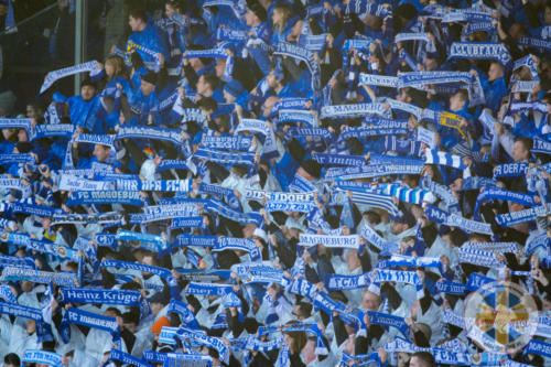 btsv vs magdeburg h 19-20 0073
