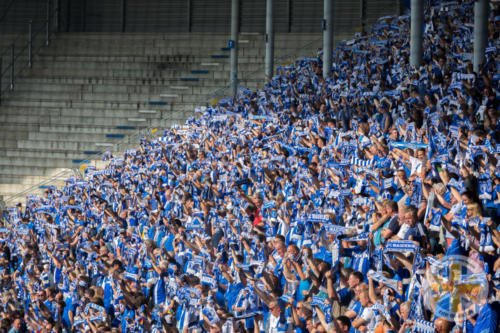 btsv vs magedeburg a 19-20 0003