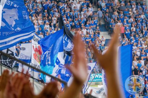btsv vs magedeburg a 19-20 0025