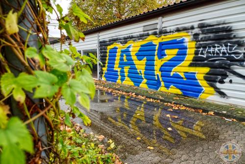 btsv vs osnabrueck h 23-24  000