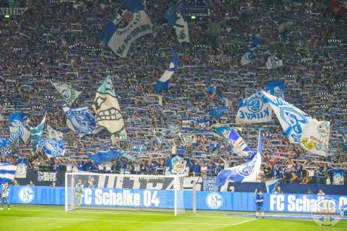 btsv vs schalke a 24-25  501